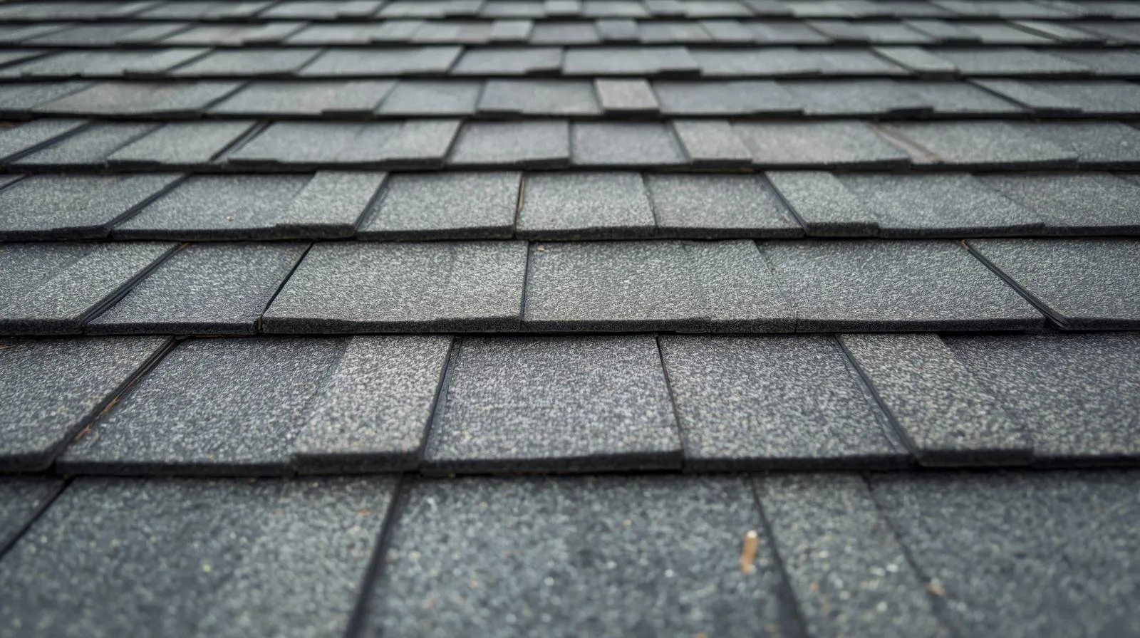 Composition shingle roof installed by Lankford Roofing in Sherman, TX