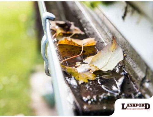 The Dangers of Standing Water in Your Gutters