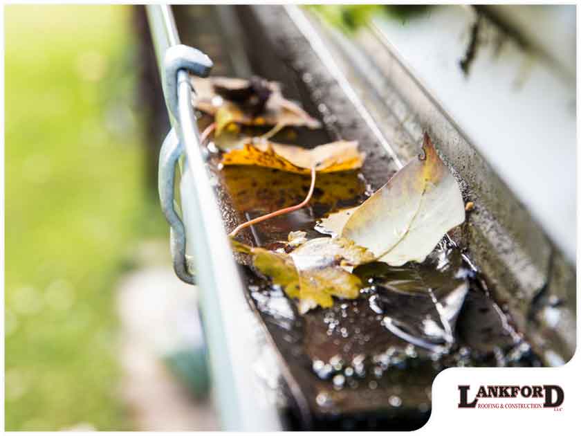 The Dangers Of Standing Water In Your Gutters