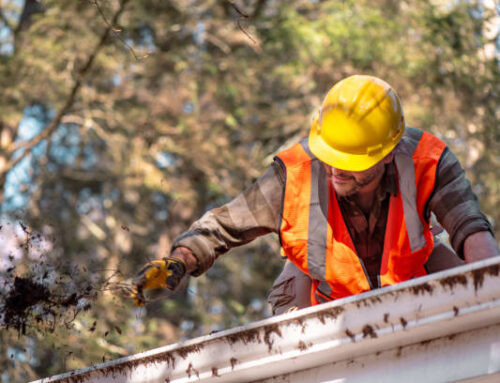 How Gutter Cleaning Can Prevent Pest Infestations